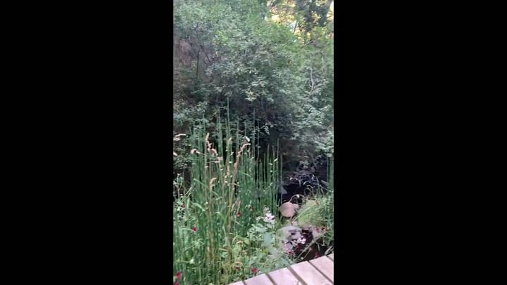 Arquitectura Paisajista