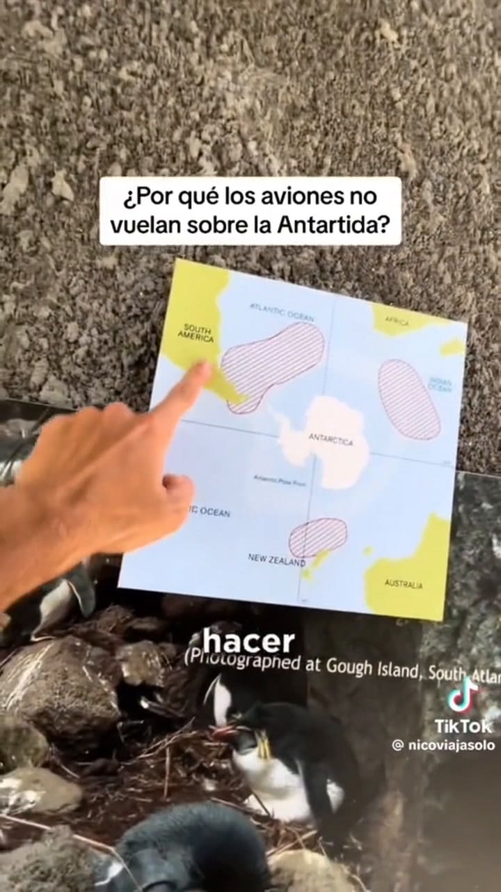 Un joven preguntó por qué los aviones no sobrevuelan la Antártida