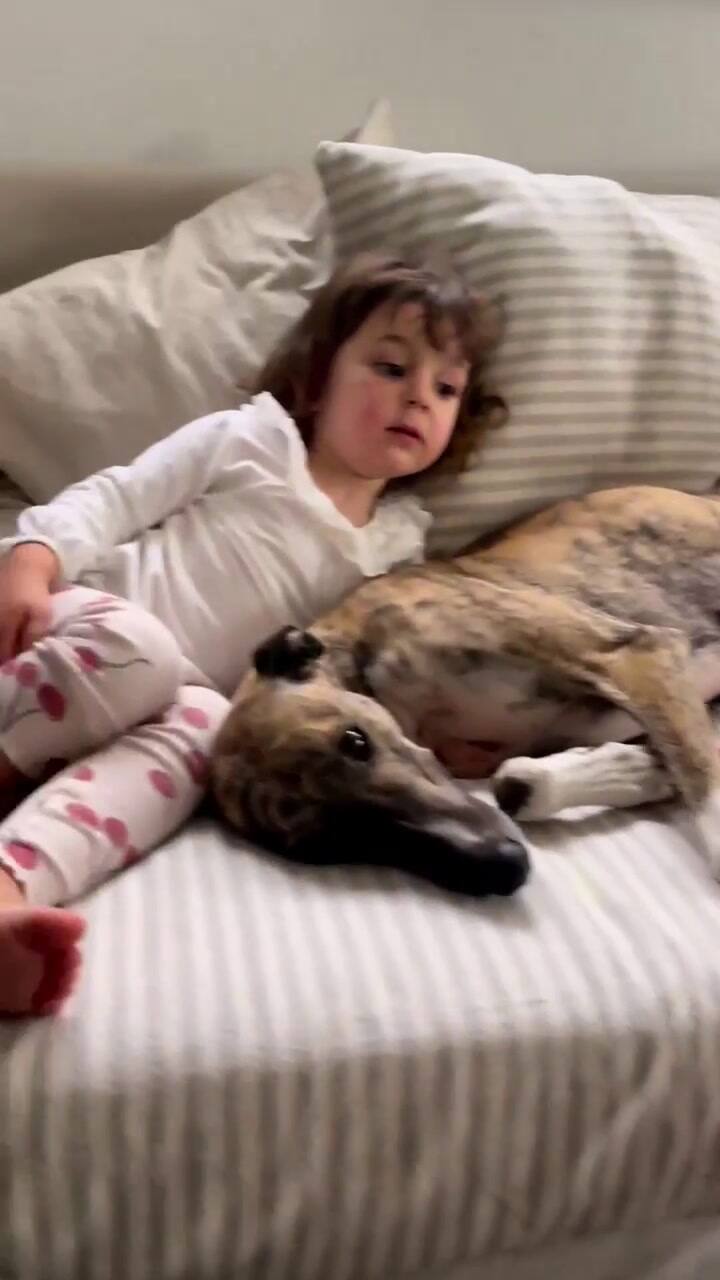 Paula Chaves y Pedro Alfonso le dieron una emotiva bienvenida a la nueva integrante de la familia