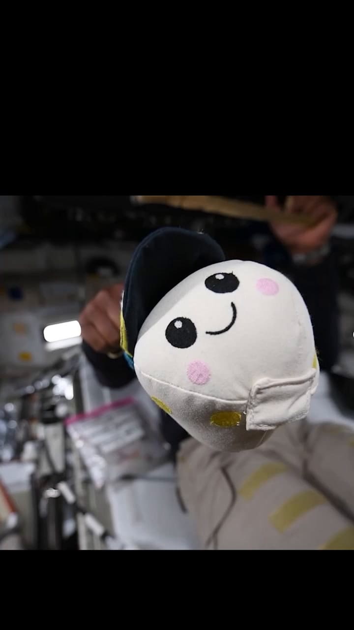 Rise la mascota de la tripulación de Artemis II