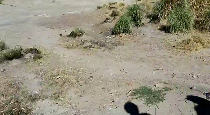 Enfrentamiento entre contrabandistas y gendarmes en La Quiaca