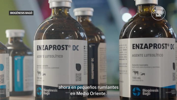 Innovación local. Biogénesis Bagó presentó su nueva división de porcinos