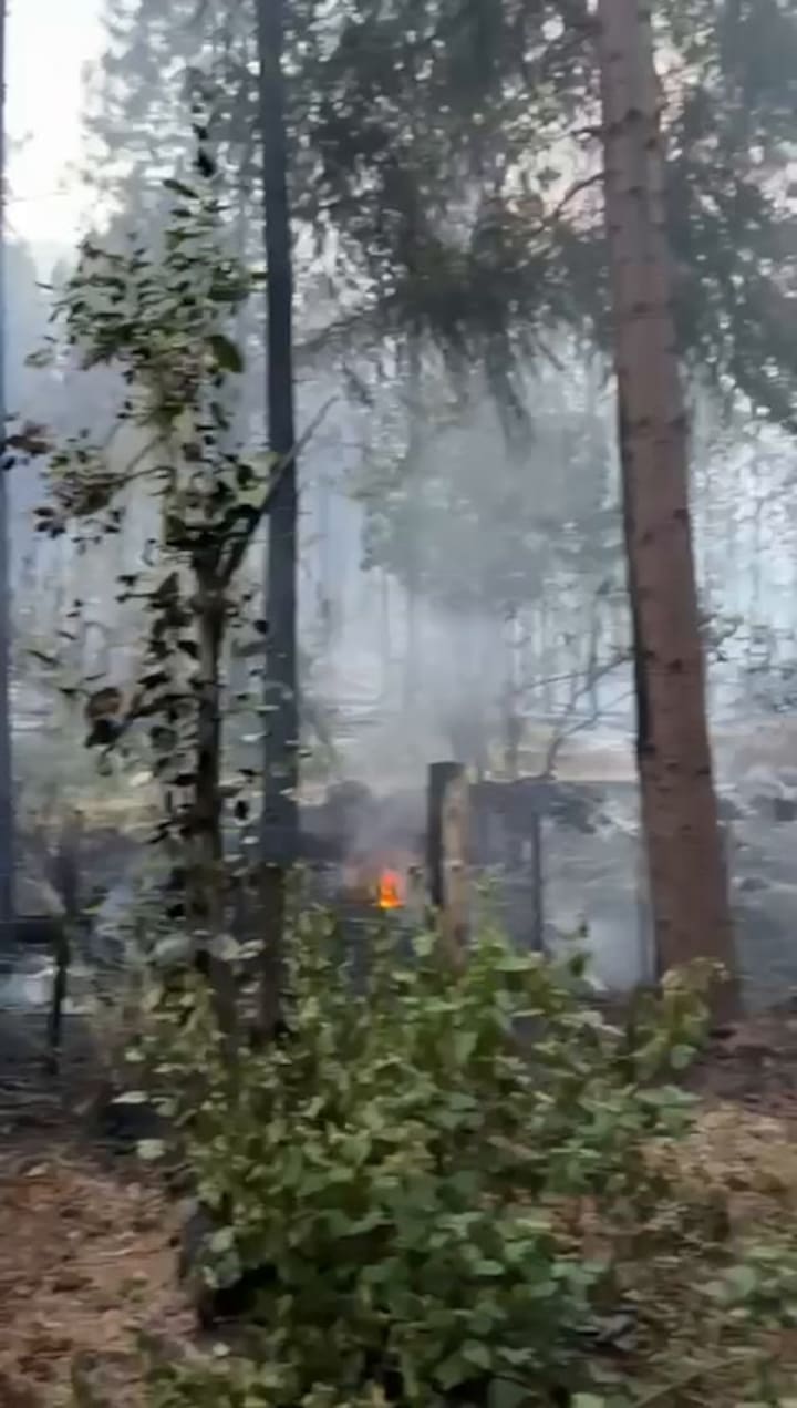 Incendio forestal en Chubut