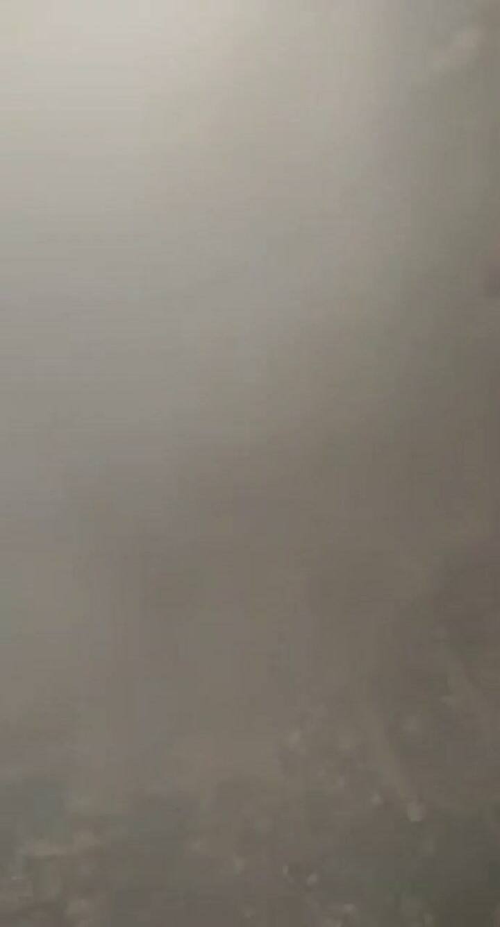 Incendio en una galería de Floresta