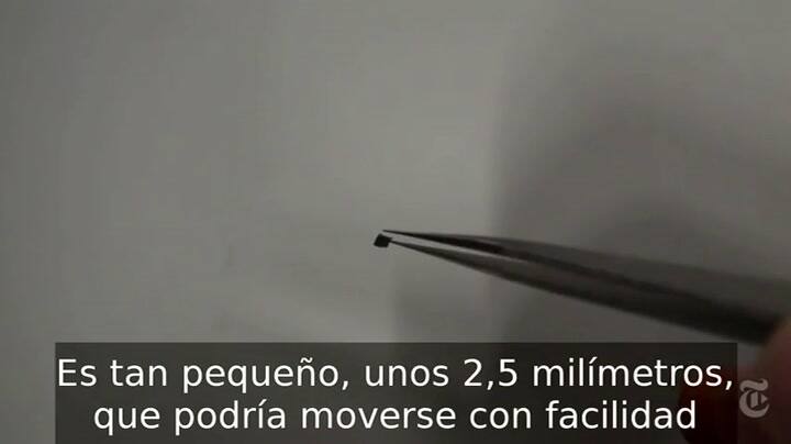 El robot puede caminar y nadar, dentro del cuerpo humano