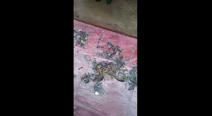 Incendios en Villa Constitución