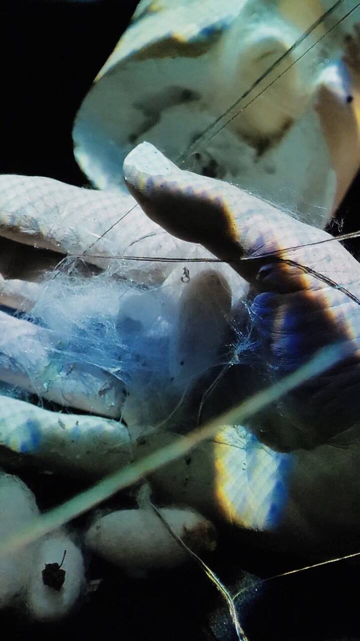 Reel02 Cetc Artistaexmachina