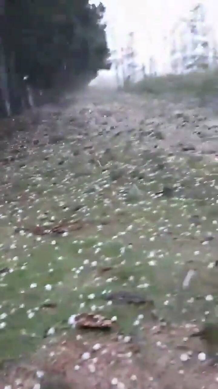 Así cayó granizo en La Criolla, Concordia, Entre Ríos