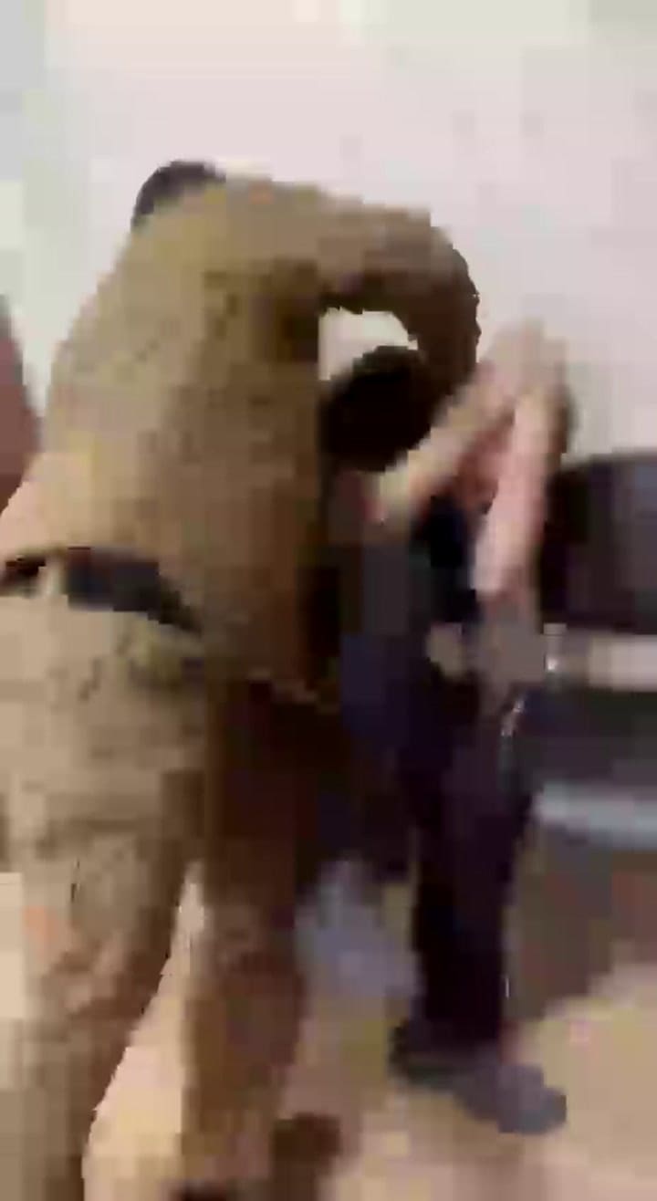 Video difundido por el canal de Telegram de Ramzan Kadyrov