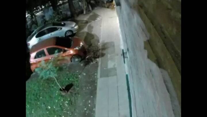 Le dio una patada a un ladrón con cuchillo y salvó a una mujer asaltada en la estación de Coghlan