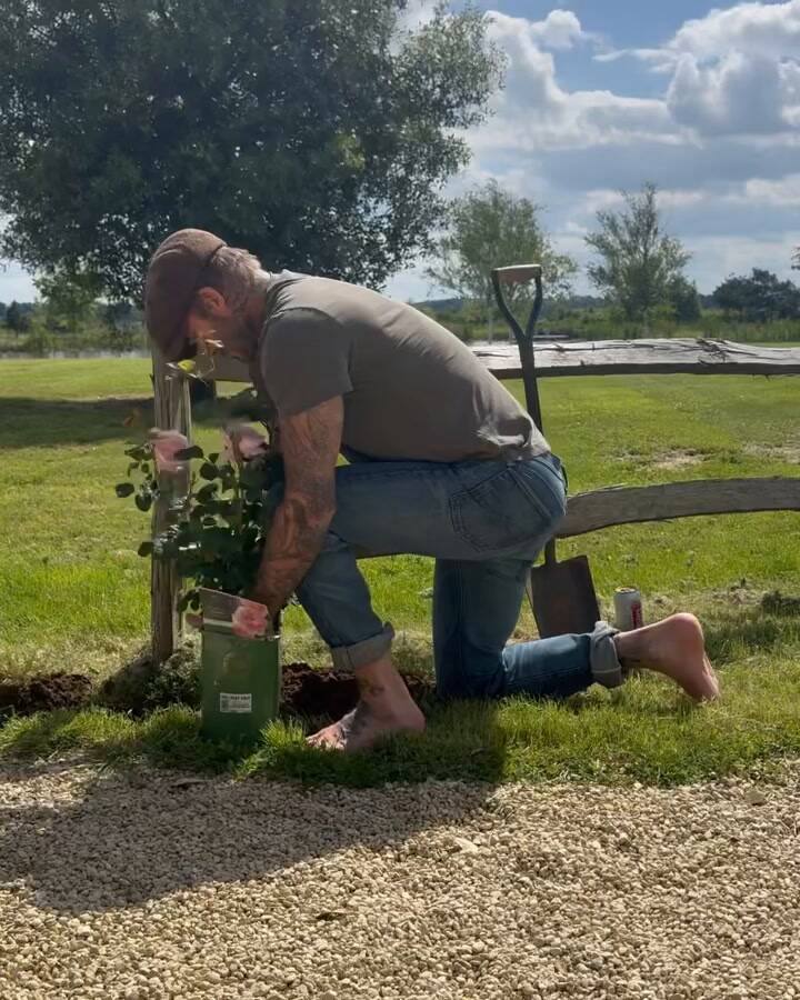 Gardner Dave Thanks For The Tips @Victoriabeckham