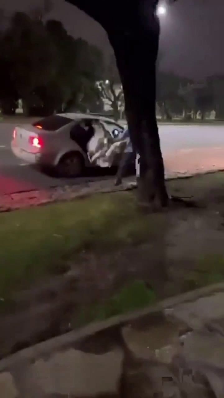 El robo de dos gansos en Palermo