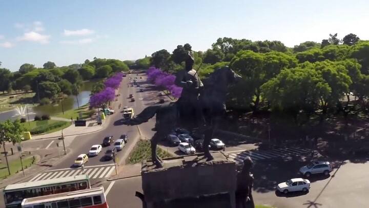 La hora del jacarandá