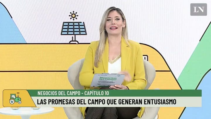 Negocios del campo: las promesas del campo que generan entusiasmo.mp4