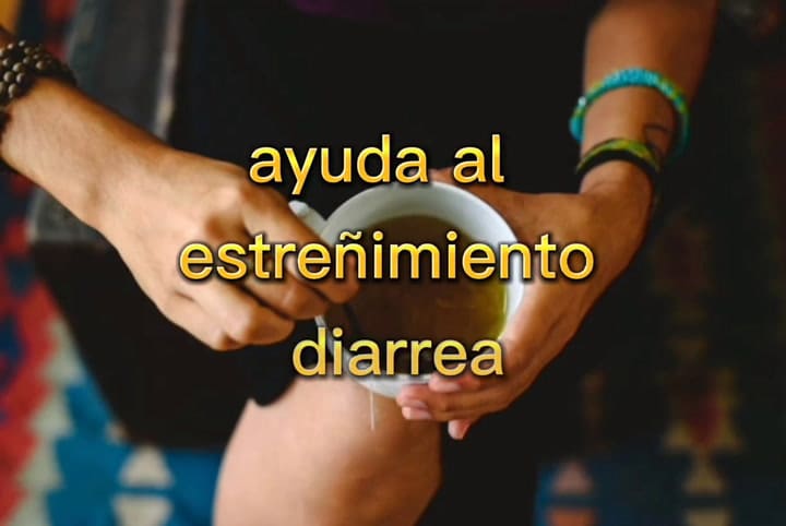 Beneficios de consumir té de Boldo