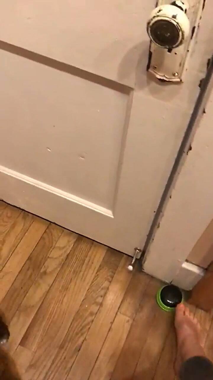 La primera palabra que aprendió Stella - Fuente: YouTube