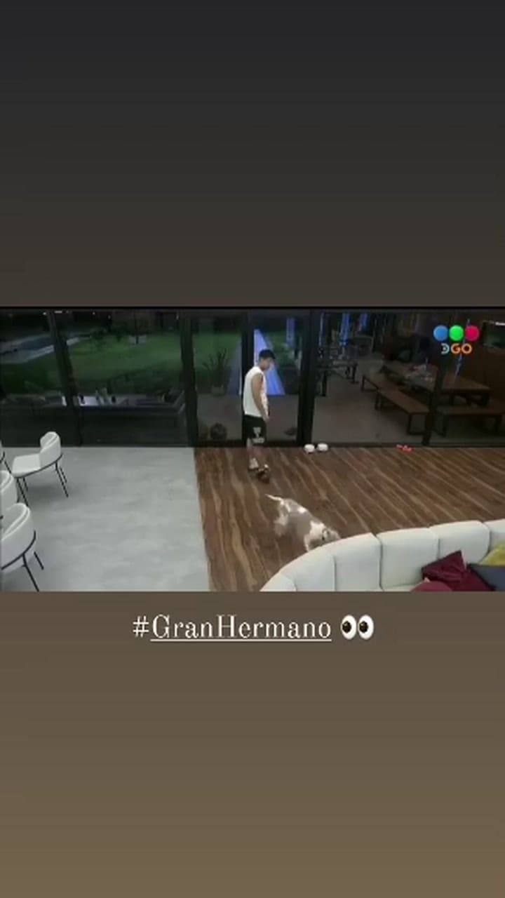 "No hay que hablar de eso": Furia expuso qué le dijo Gran Hermano sobre su trato con Arturo y Emma la calló
