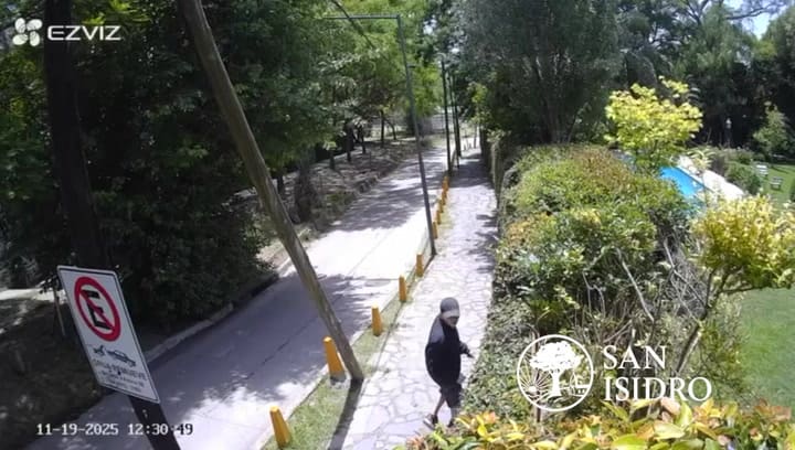 Los ladrones que robaron en la casa de Valeria Mazza