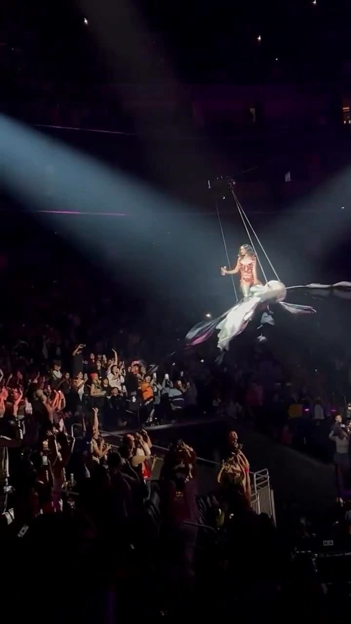 El susto de Katy Perry en uno de sus shows