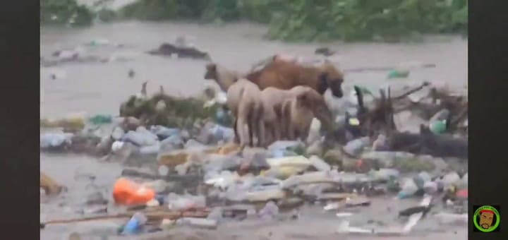 El video del dramático paso de Beryl por Jamaica