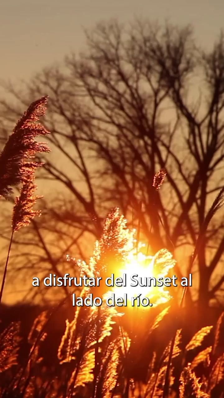 Atardeceres de verano en la Costanera: cuándo y dónde habrá 11 foodtrucks y DJs junto al río