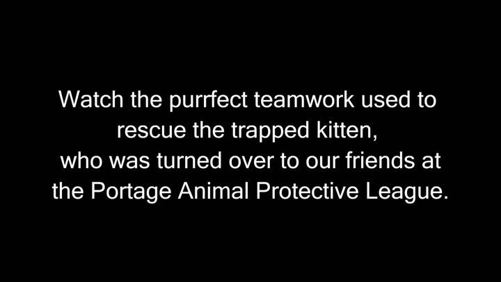 Encuentran un gato atrapado entre las ruedas de un camión