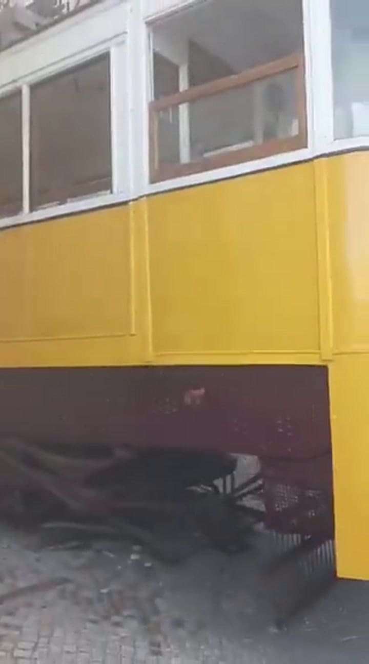 Confirmaron que hay víctimas extranjeras