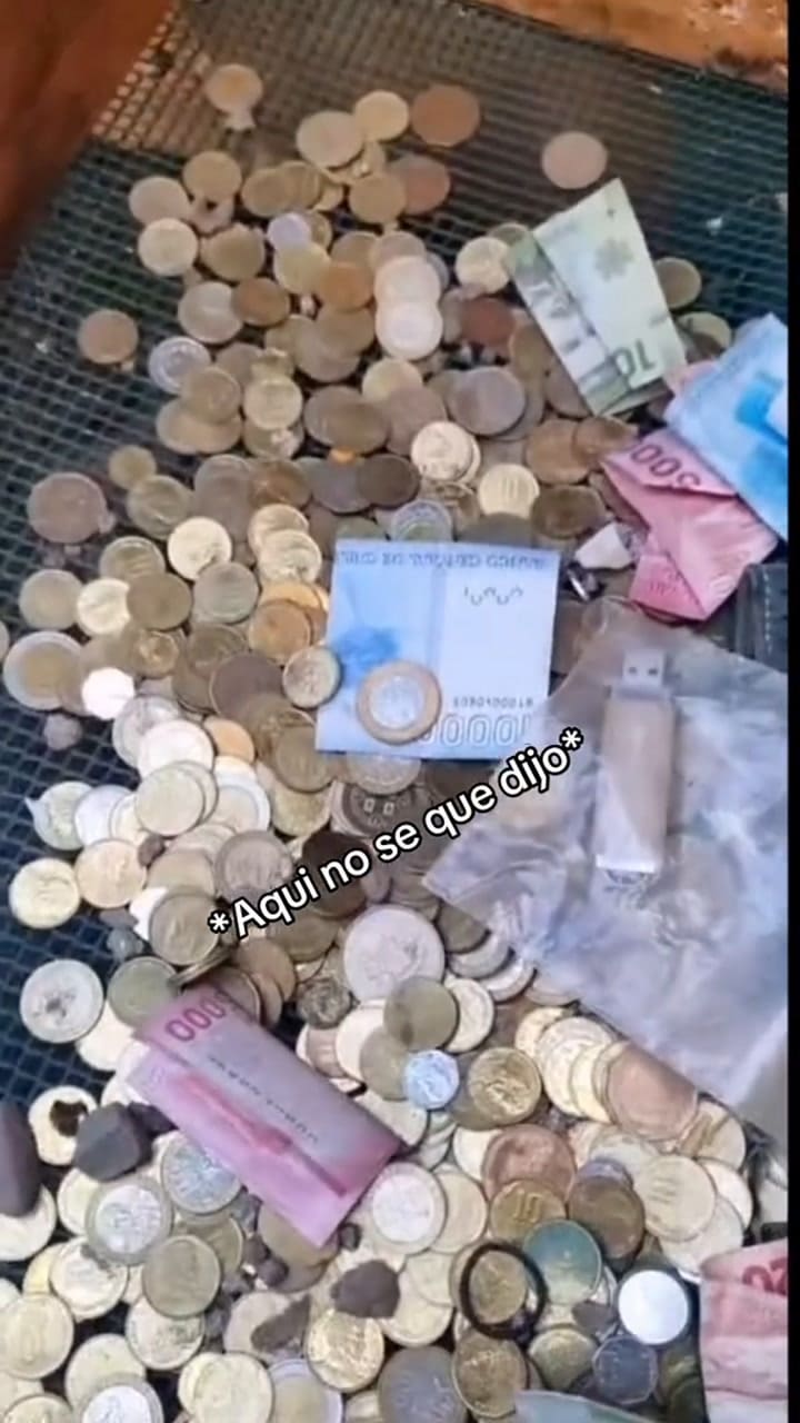 El hallazgo en el parque sorprendió a todos