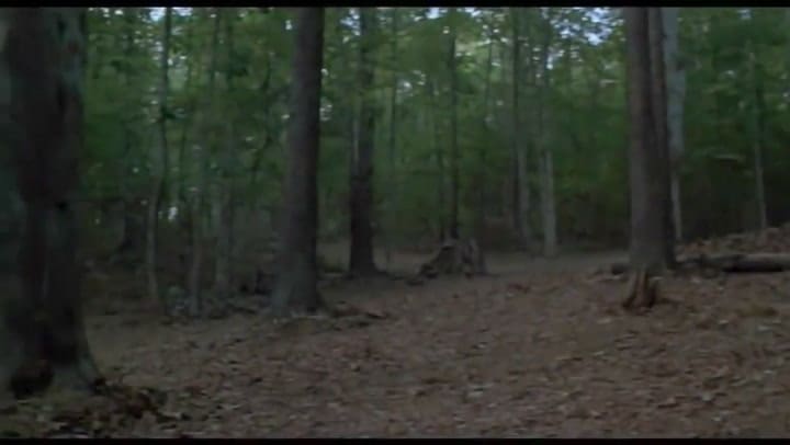 Evil Dead 2, una de las grandes películas de los ochenta