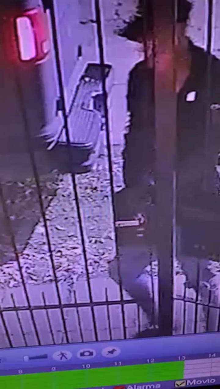 Robo en una casa de Martínez