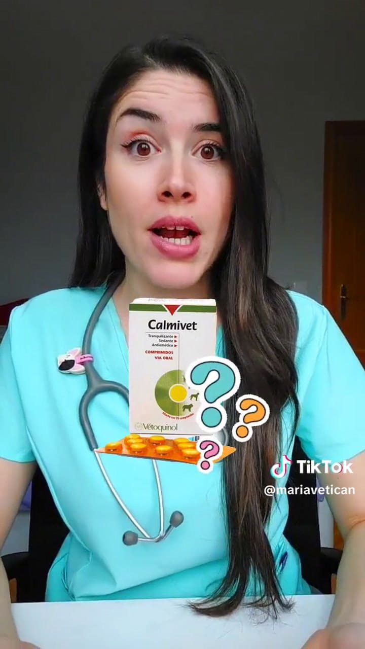 Consejos para cuidar a tu perro de la pirotecnia en Navidad