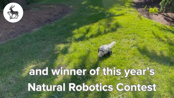 Plantolin Winner Of The 2nd Natural Robotics Contest