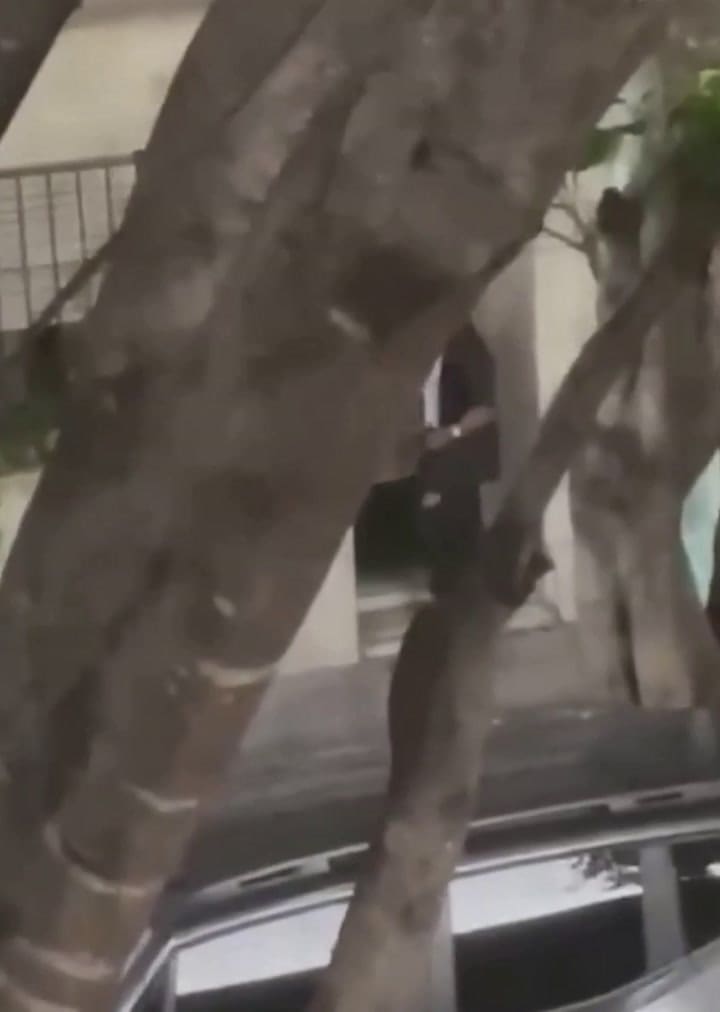 El policía llegó a disparar 14 veces