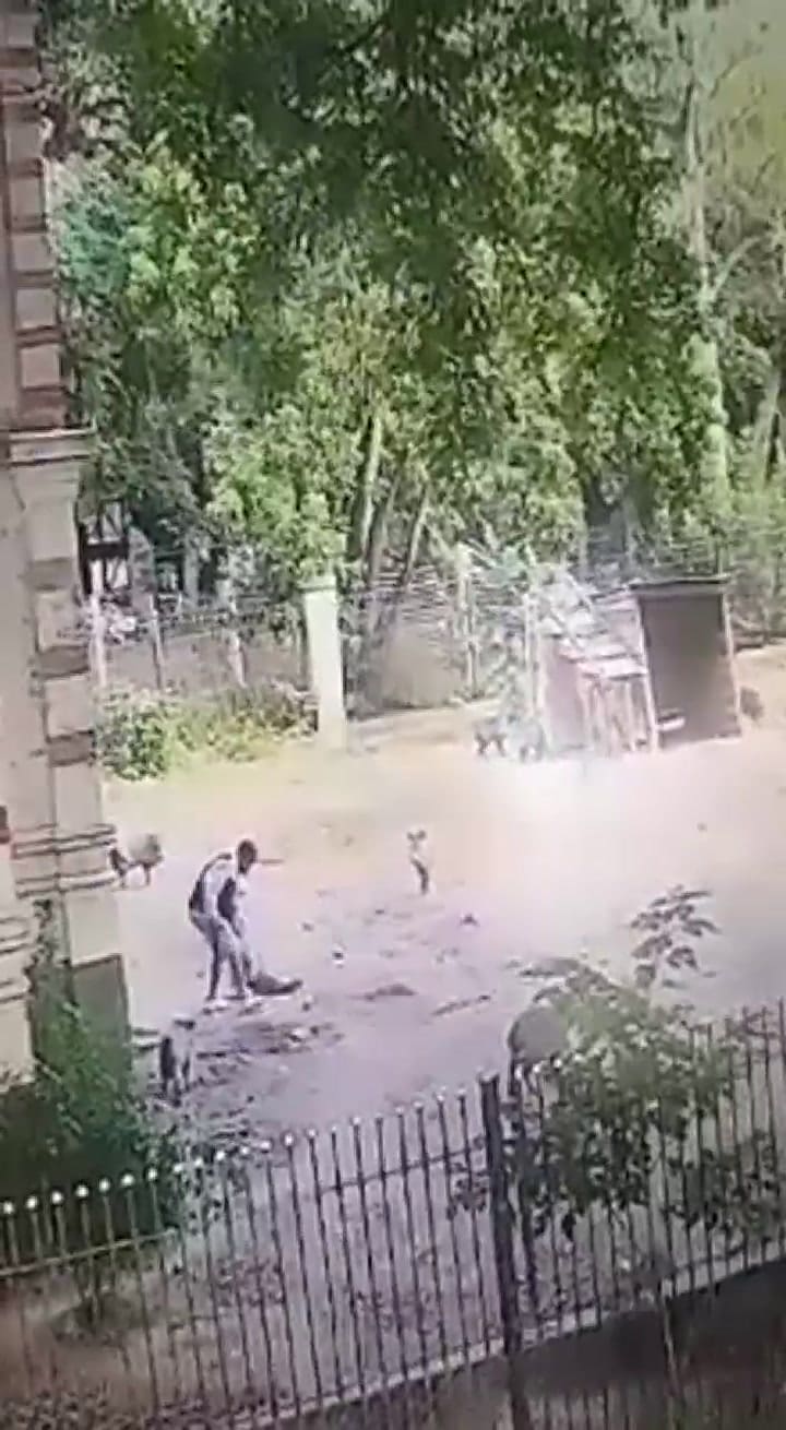 Un hombre se quiso robar un jabalí en el Bioparque de La Plata