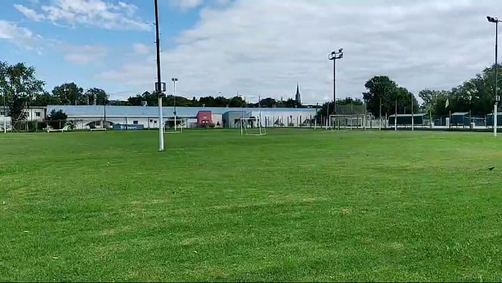 Inusual vuelo de mariposas sobre un campo de deportes, en San Isidro