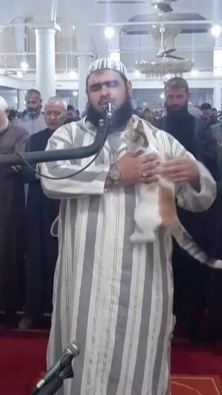 Escaló sobre un orador y se volvió viral