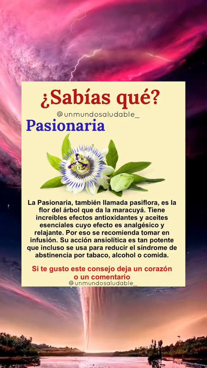 Este es el mejor remedio para reducir la distensión abdominal sin químicos