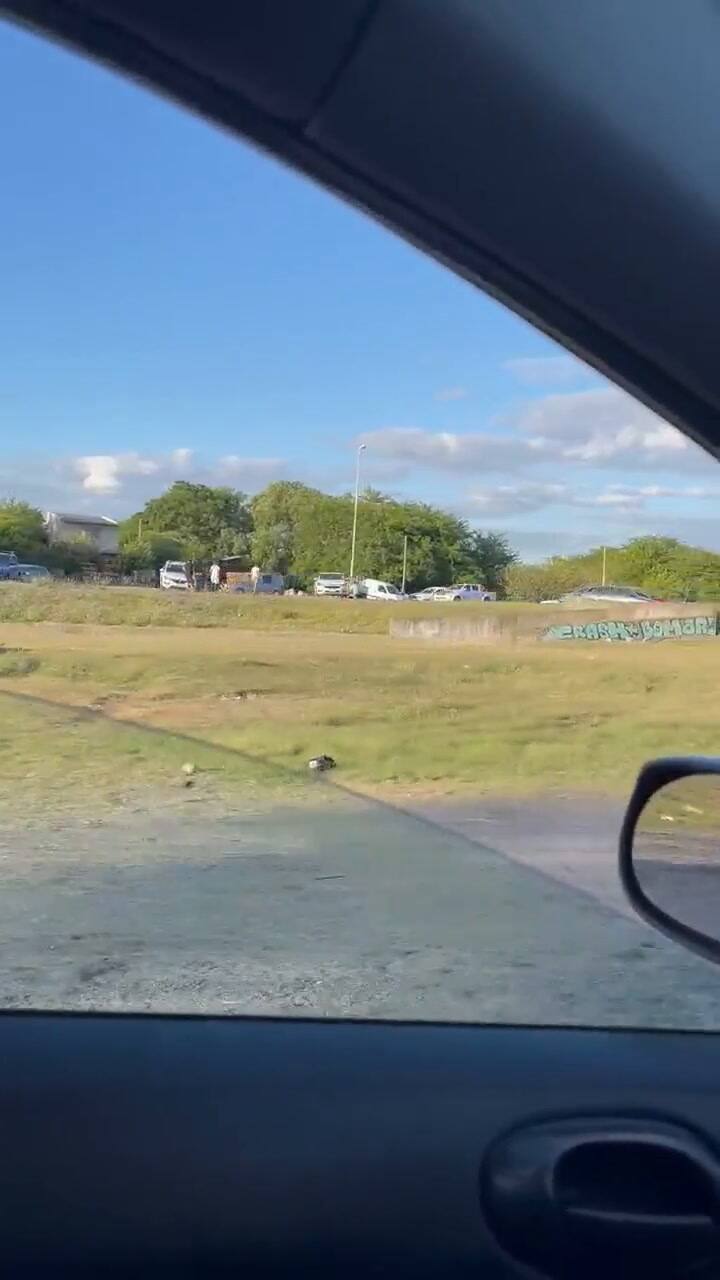 Robo de autos en el festejo