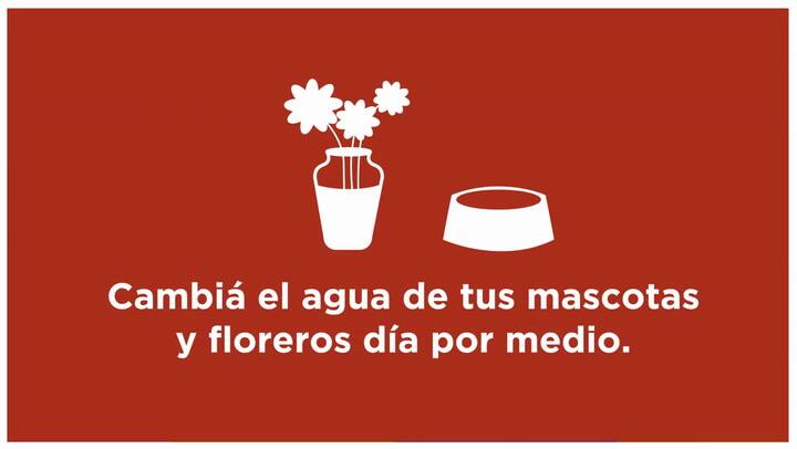 Diez consejos para protegernos del virus del dengue.