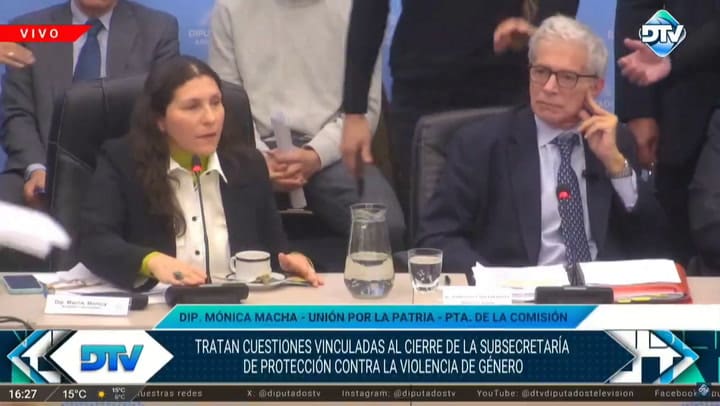 El ministro Cúneo Libarona, en la Comisión de la Mujer