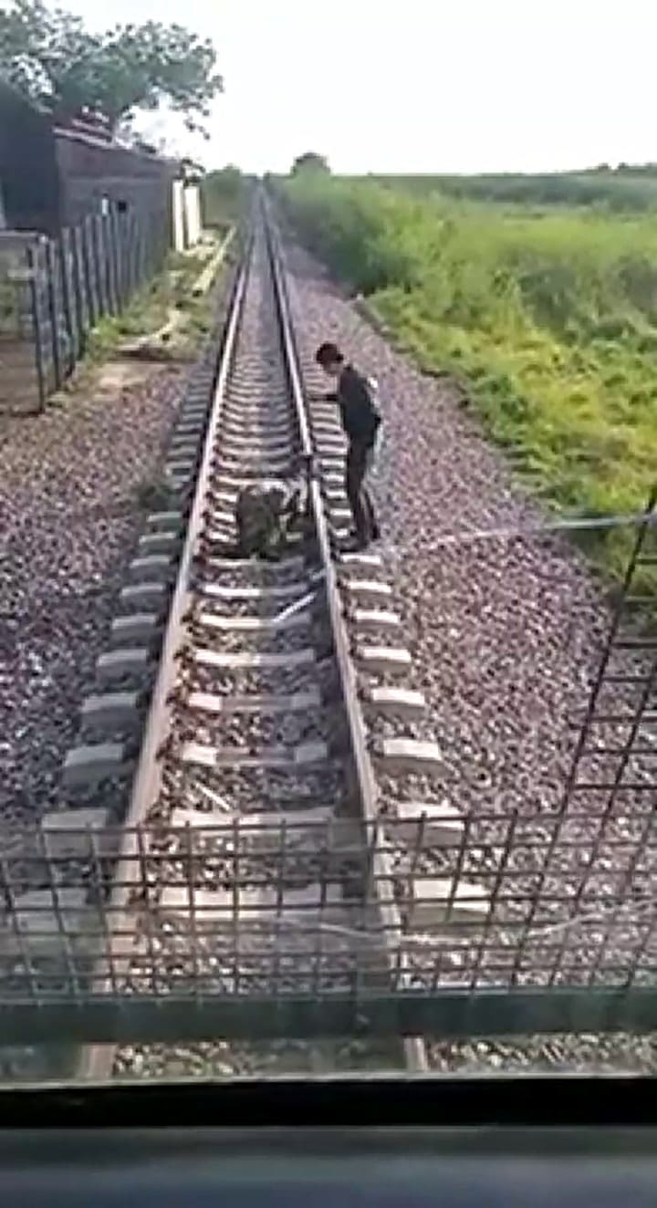 Un maquinista rescató a un perro que estaba atado a las vías del tren.