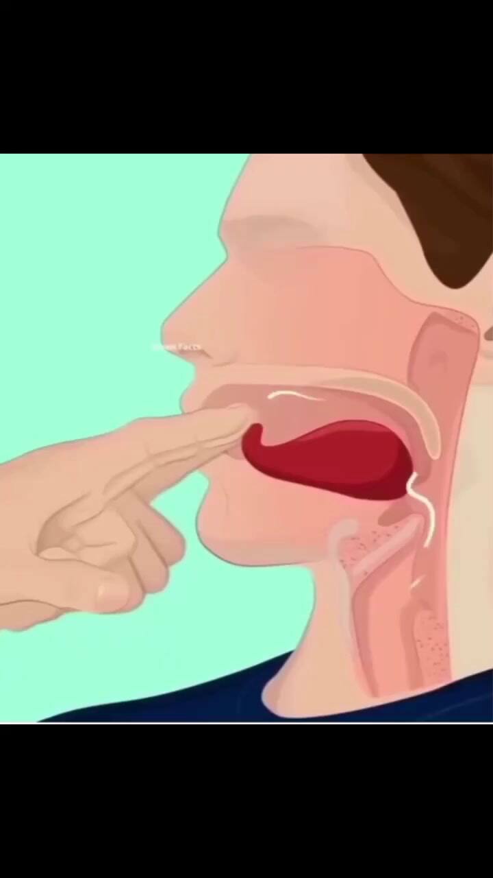 El tutorial para aprender a chifllar