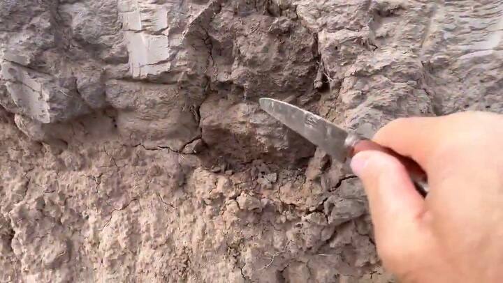 Las consecuencias de la sequía en Lincoln