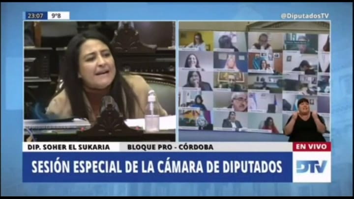 La diputada Soher El Sukaria, durante la sesión de anoche en Diputados. 'Usted nos tiene que dar cer