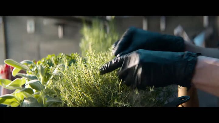 Nada más que eso, tráiler