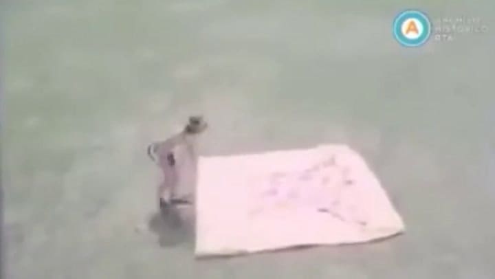 Publicidad de Pelopincho en 1973 con Carlitos Bala