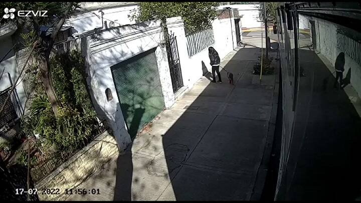 Abandonó a su perro en plena calle