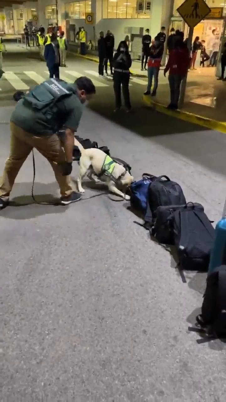 Historia de Dibu Martínez