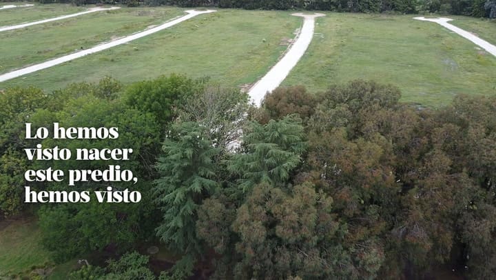 Toribio Cercana Web V3