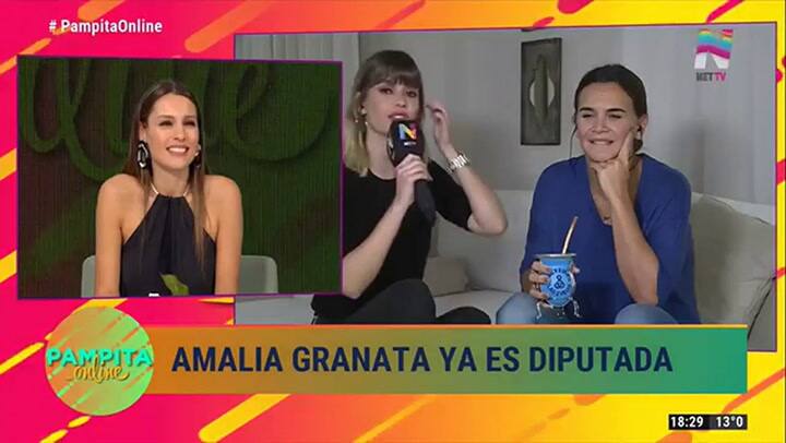 Amalia Granata justificó la clandestinidad de los abortos. Fuente: NET TV